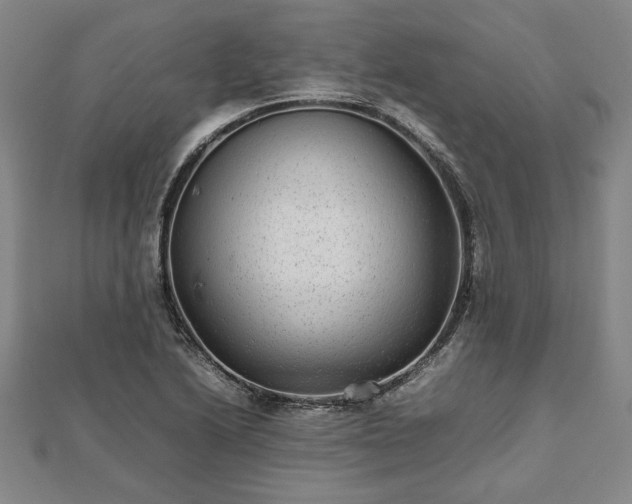 X0000111841222200907301043