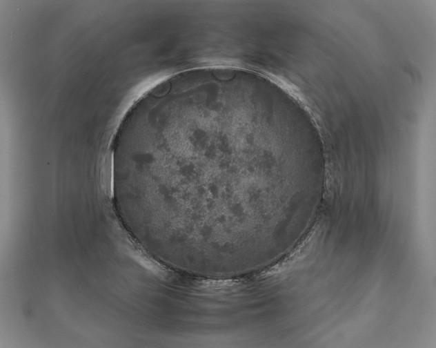 X0000111841223200907301043