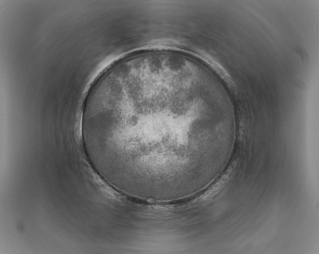 X0000111841224200907301043