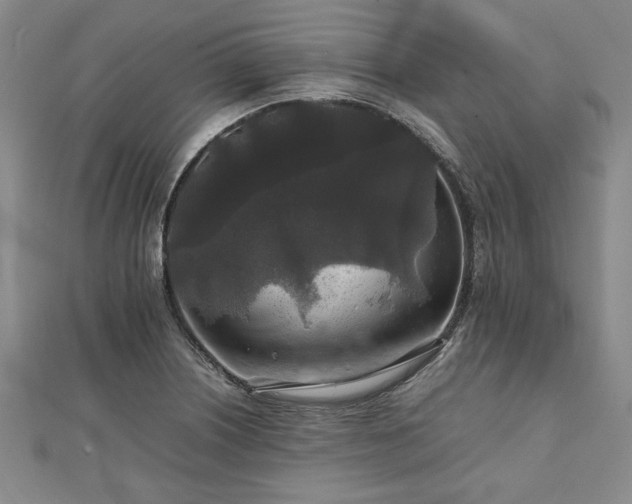 X0000111841226200907301043