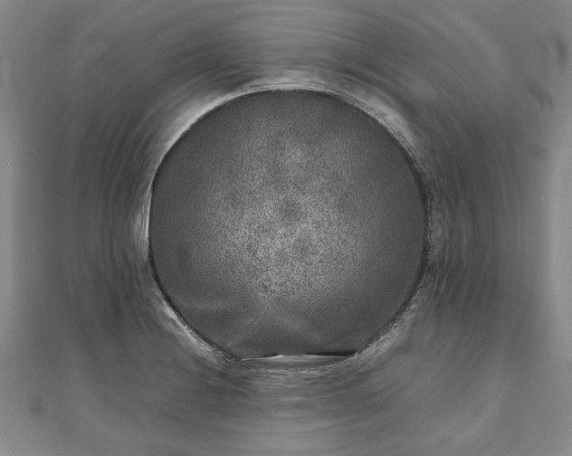 X0000111841228200907301043