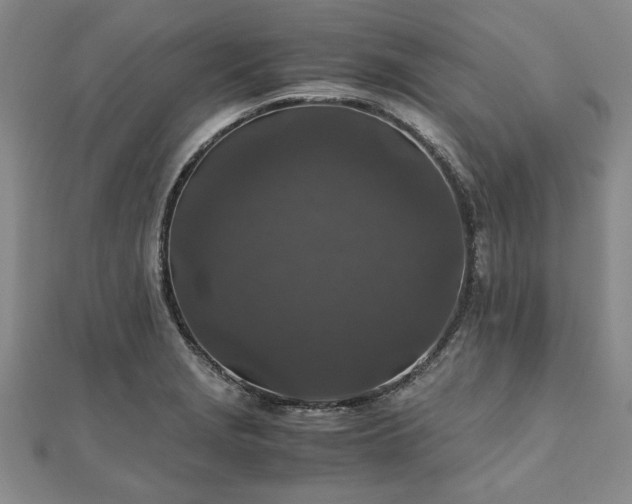 X0000111841229200907301043