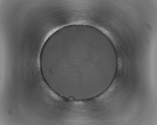 X0000111841230200907301043