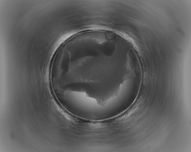 X0000111841231200907301043