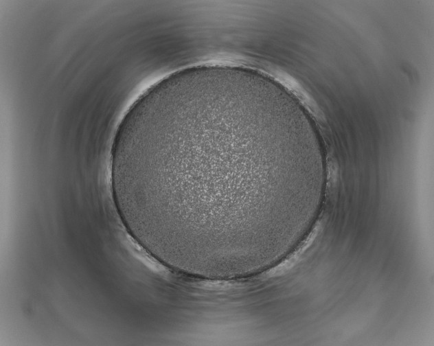 X0000111841232200907301043