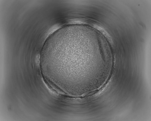 X0000111841233200907301043