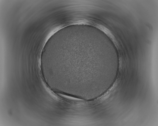 X0000111841234200907301043