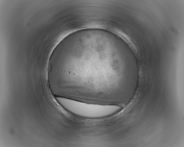 X0000111841236200907301043