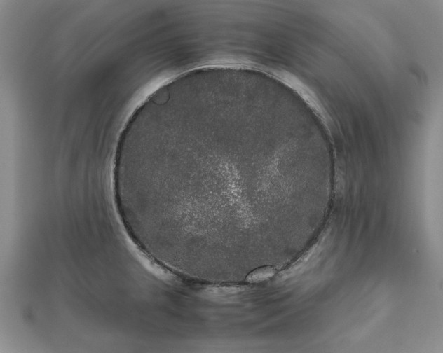 X0000111841237200907301043