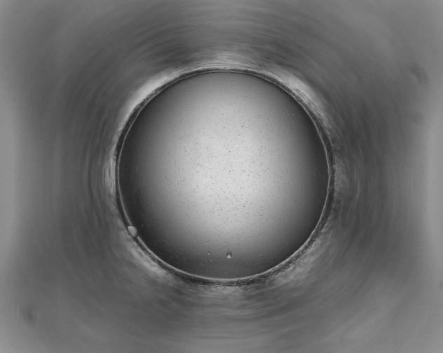 X0000111841238200907301043