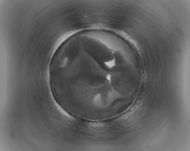 X0000111841239200907301043