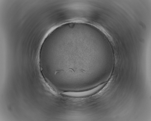 X0000111841240200907301043