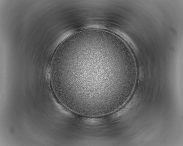 X0000111841241200907301043