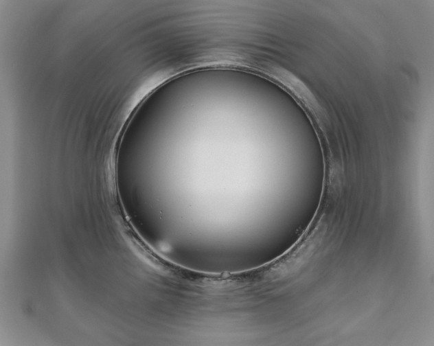 X0000111841242200907301043