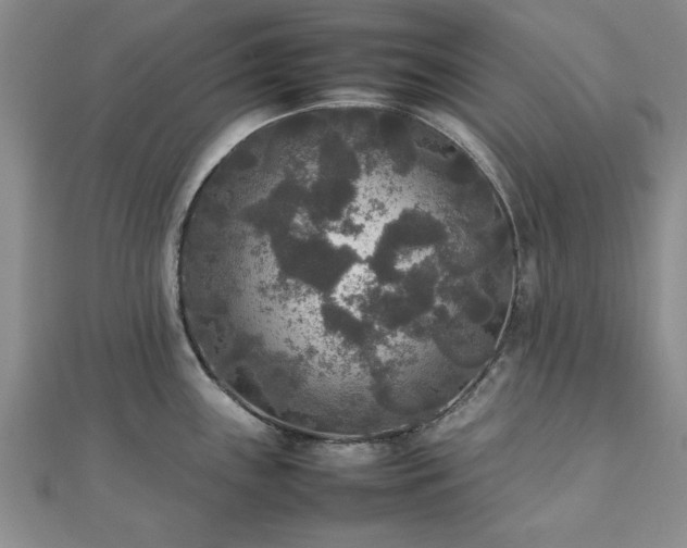 X0000111841243200907301043