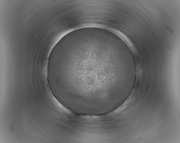 X0000111841244200907301043