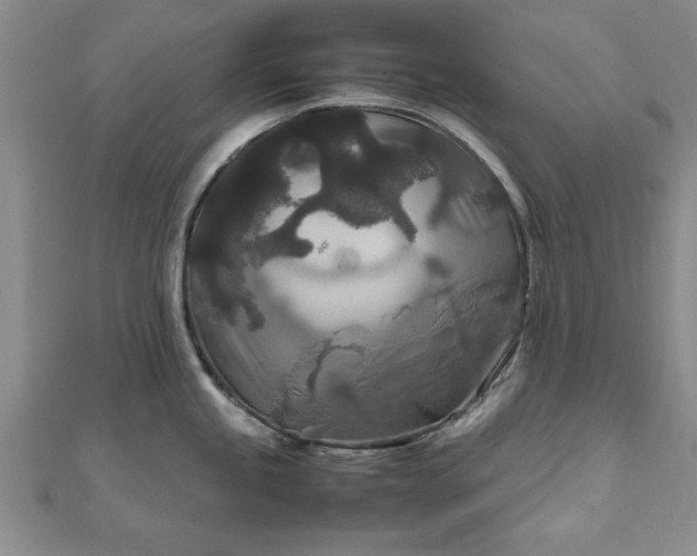 X0000111841245200907301043