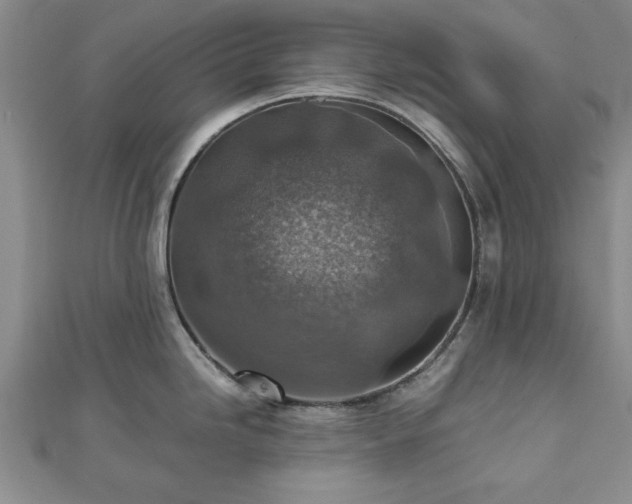 X0000111841246200907301043