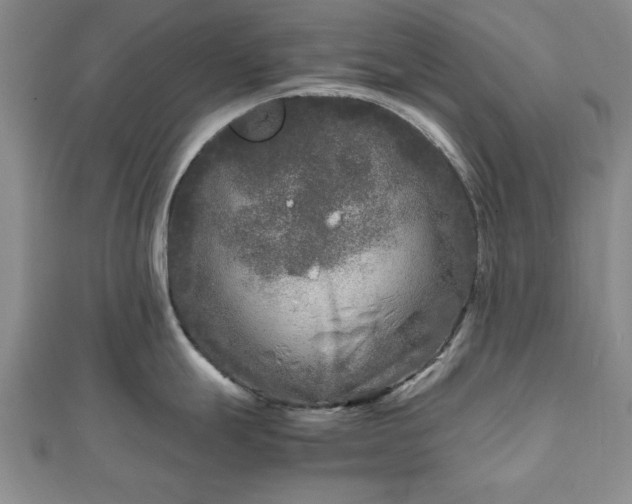 X0000111841247200907301043