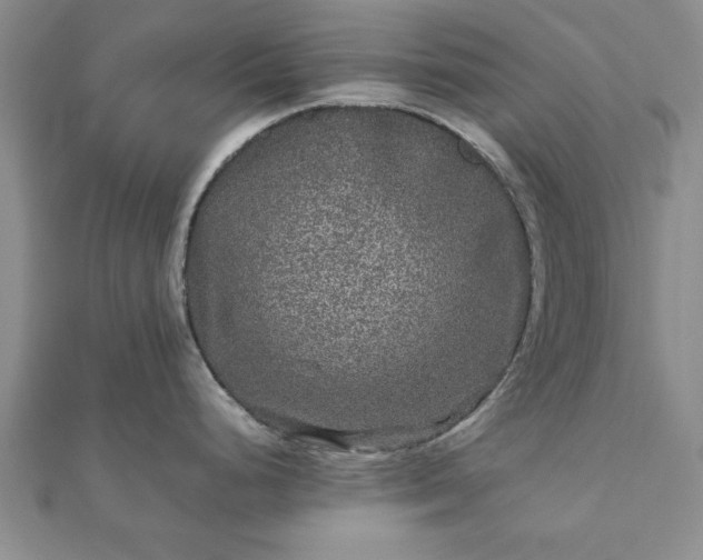 X0000111841248200907301043