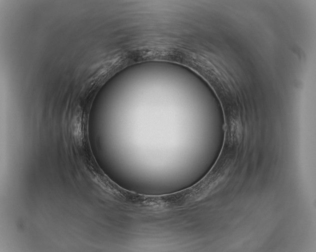 X0000111841250200907301042