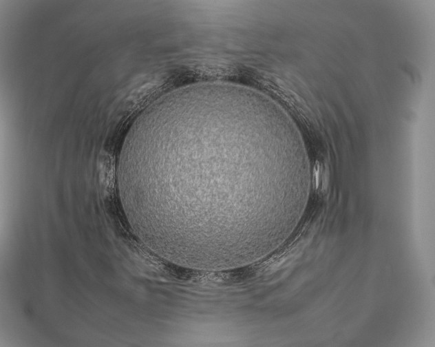 X0000111841251200907301042