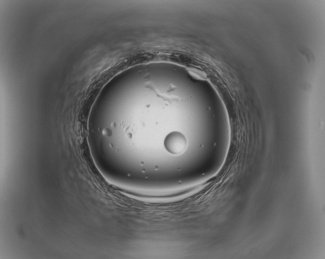 X0000111841253200907301042