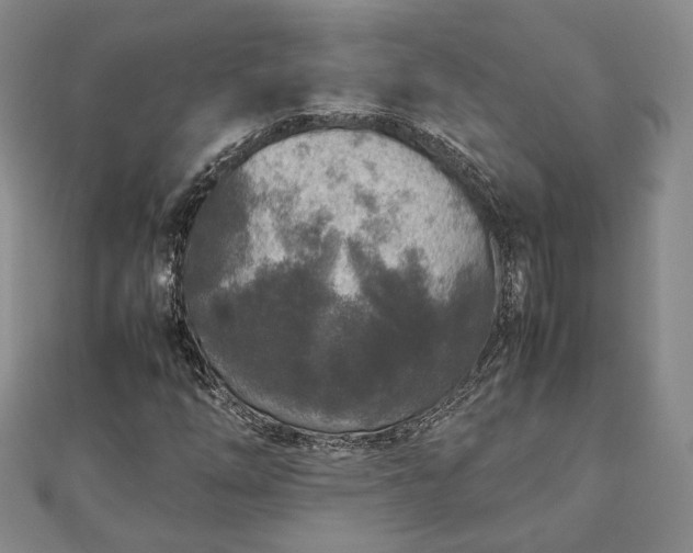 X0000111841254200907301042