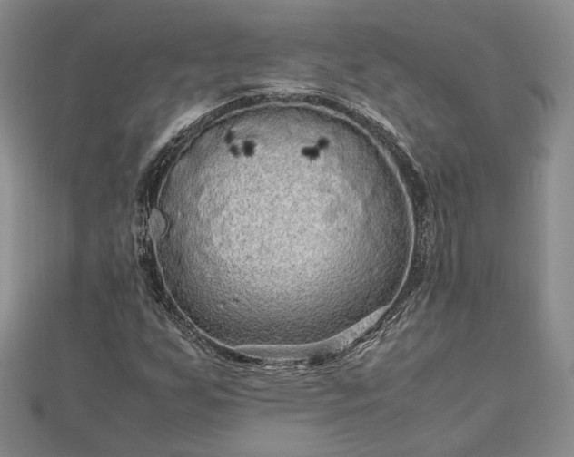 X0000111841255200907301042