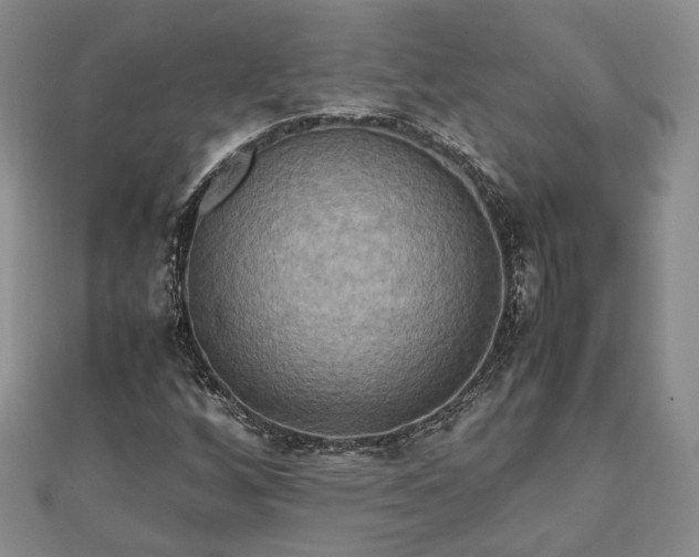 X0000111841256200907301042