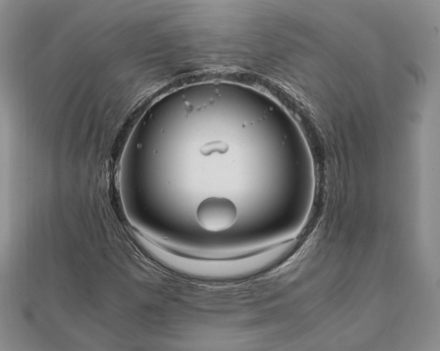 X0000111841257200907301042