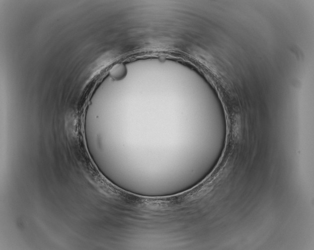 X0000111841258200907301042