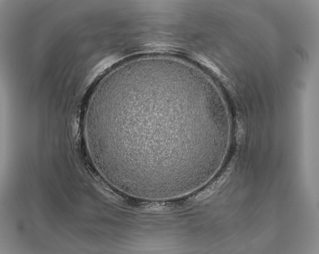 X0000111841259200907301042