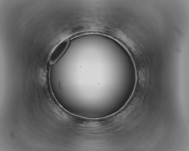 X0000111841260200907301042