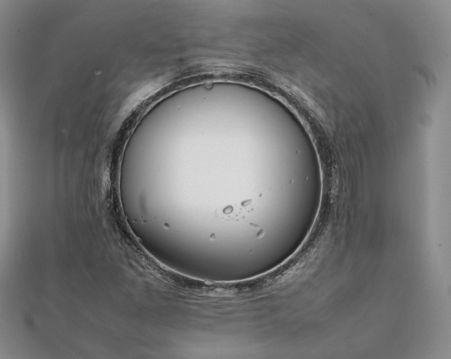 X0000111841261200907301042