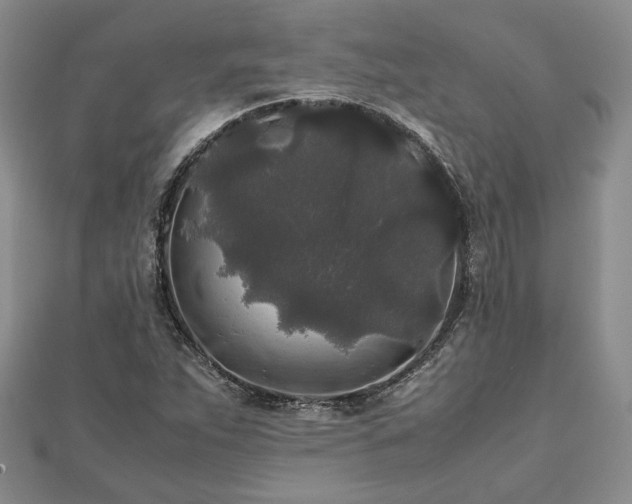 X0000111841263200907301042