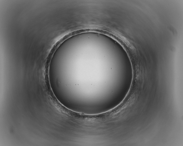 X0000111841264200907301042