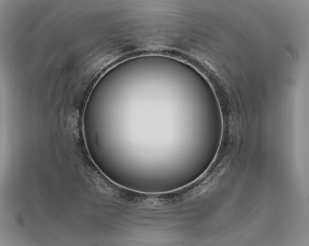 X0000111841265200907301042