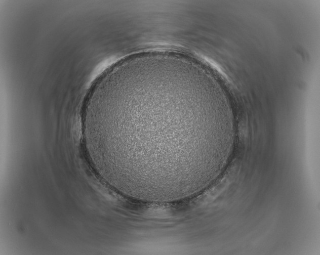 X0000111841267200907301042