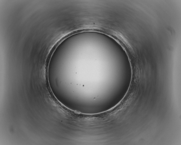 X0000111841268200907301042