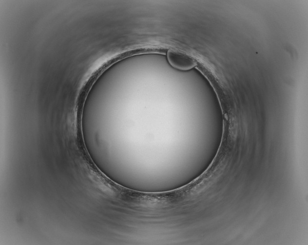 X0000111841270200907301042