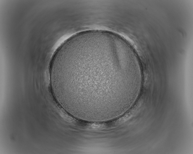 X0000111841271200907301042