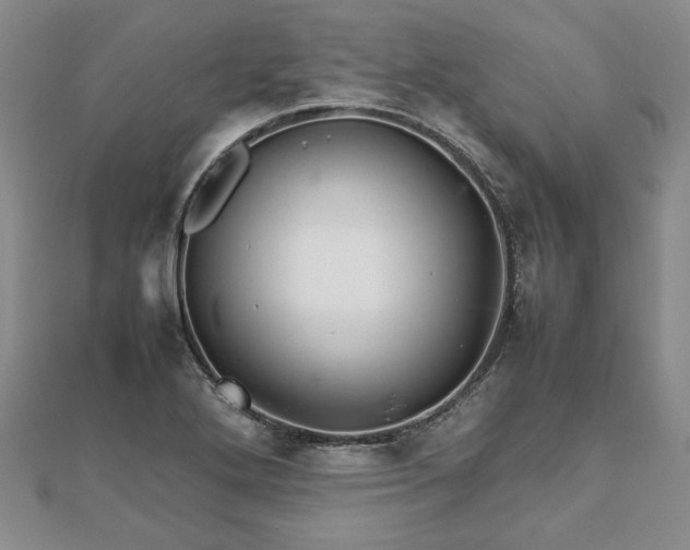 X0000111841272200907301042