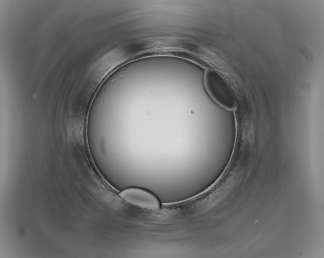 X0000111841273200907301042