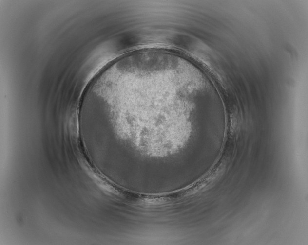 X0000111841274200907301042