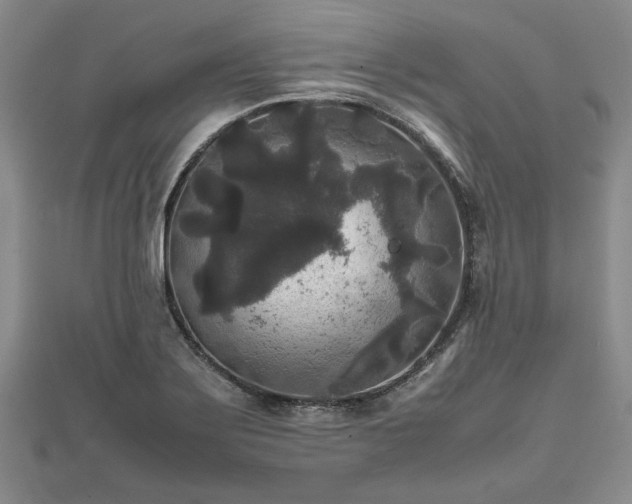 X0000111841275200907301042