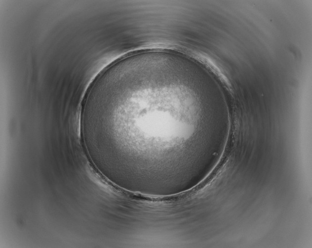 X0000111841276200907301042