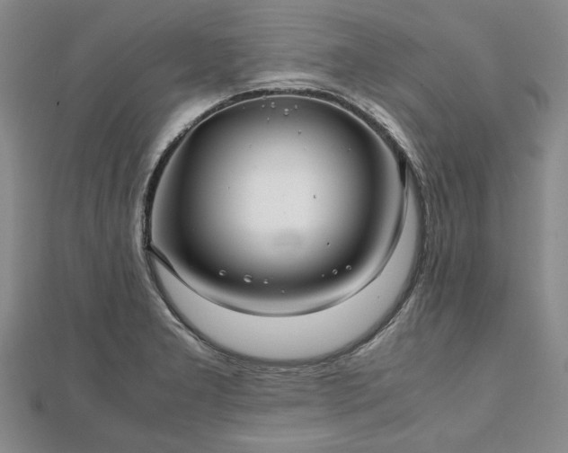 X0000111841277200907301042