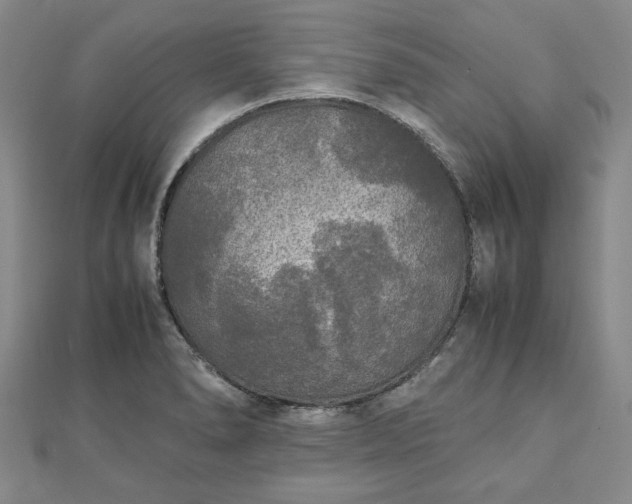 X0000111841278200907301042