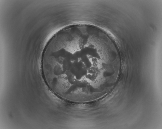 X0000111841279200907301042